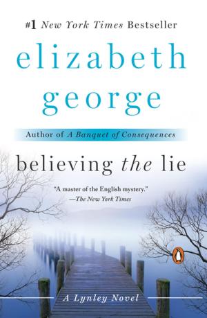 Cover of the book Believing the Lie by Audrey Claire