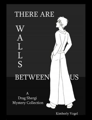 Cover of the book There Are Walls Between Us: A Drag Shergi Mystery Collection by Jason Burchard