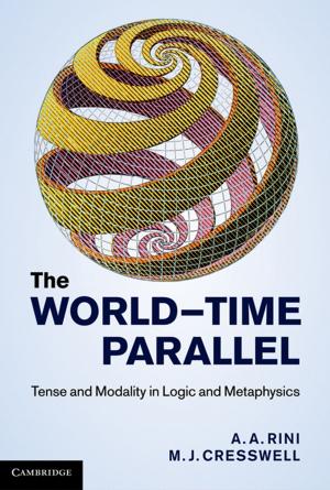 Cover of the book The World-Time Parallel by Professor Johan A. Lybeck