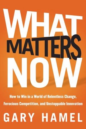 Cover of the book What Matters Now by Carol Sanford
