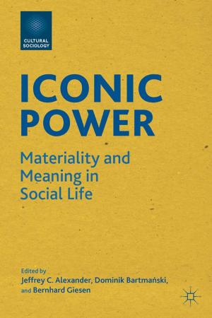 Cover of the book Iconic Power by J. Nyden, K. Vitasek, D. Frydlinger