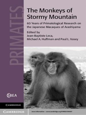 bigCover of the book The Monkeys of Stormy Mountain by 