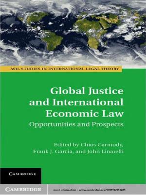 Cover of the book Global Justice and International Economic Law by Stephen C. Levinson