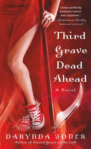 Cover of the book Third Grave Dead Ahead by Madeleine Wickham