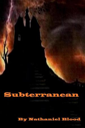 Cover of the book Subterranean by L.J HALDANE