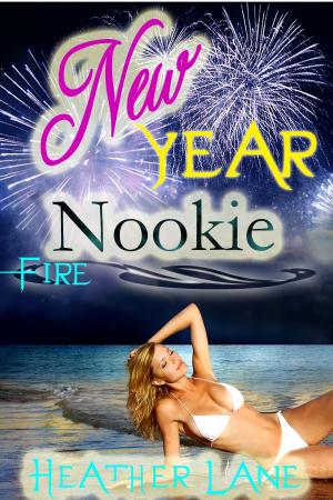 Cover of the book New Year Nookie by Anna Kinlan