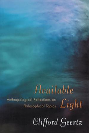 Cover of the book Available Light by Rajendra Bhatia