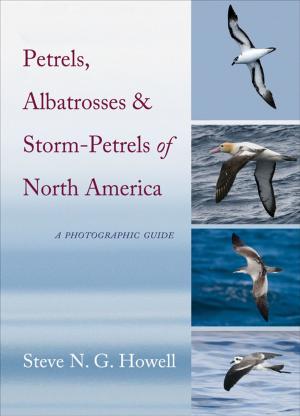 Book cover of Petrels, Albatrosses, and Storm-Petrels of North America