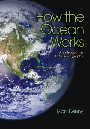 Book cover of How the Ocean Works