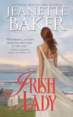 Cover of the book Irish Lady by Anna Staniszewski
