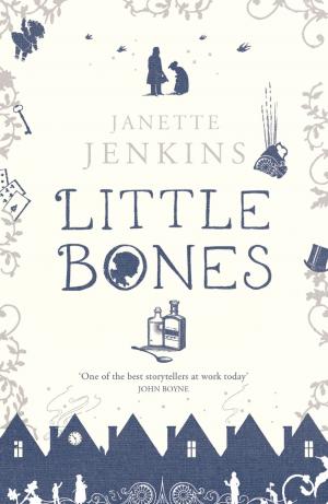 Cover of the book Little Bones by Vicki Feaver