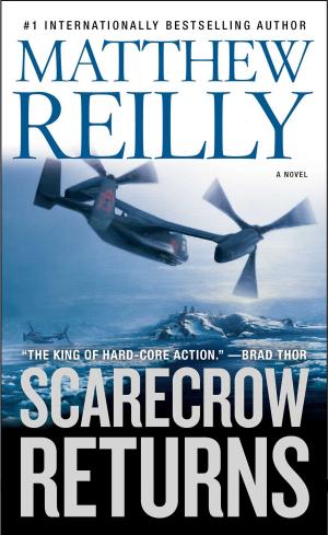 Cover of the book Scarecrow Returns by Bellamy Grayfield