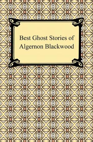 Cover of the book Best Ghost Stories of Algernon Blackwood by Ethel Cook Eliot