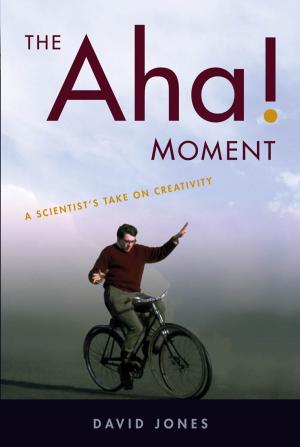 Book cover of The Aha! Moment