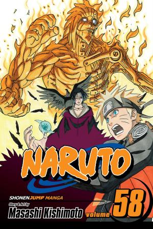 Book cover of Naruto, Vol. 58