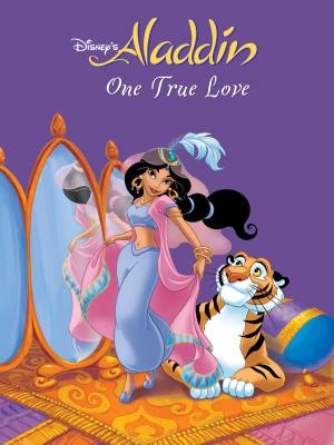Book cover of Aladdin: One True Love