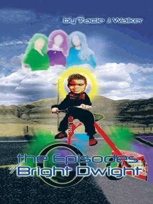 Book cover of The Episodes of Bright Dwight