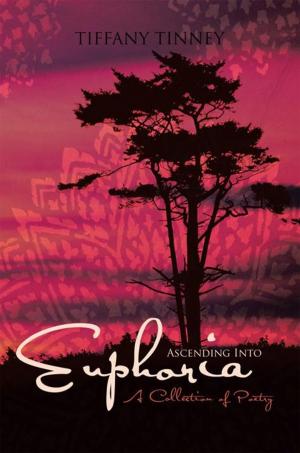 Cover of the book Ascending into Euphoria by Shane Mealue, Monique Mealue