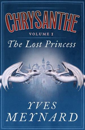 Cover of the book The Lost Princess by Claire Ashgrove