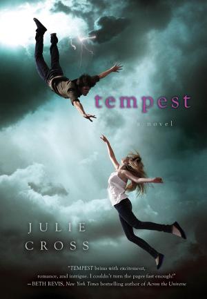 Cover of the book Tempest by Domenic Stansberry