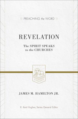 Book cover of Revelation: The Spirit Speaks to the Churches