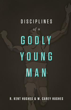 Cover of the book Disciplines of a Godly Young Man by John A. Bloom