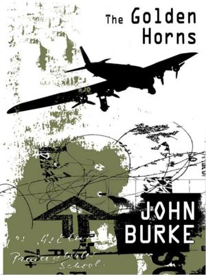 bigCover of the book The Golden Horns: A Mystery Novel by 