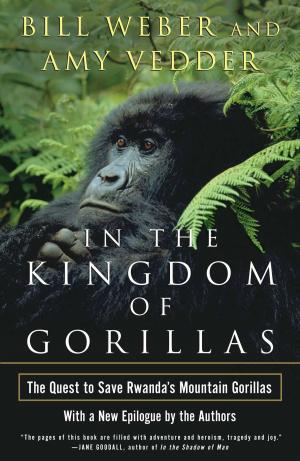 Cover of the book In the Kingdom of Gorillas by Michael R. Beschloss