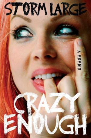 Cover of the book Crazy Enough by Douglas Schoen, Michael Rowan