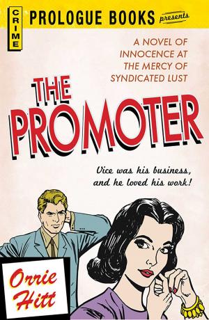 bigCover of the book The Promoter by 
