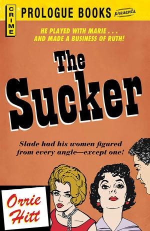 Cover of the book The Sucker by Brooke Halpin