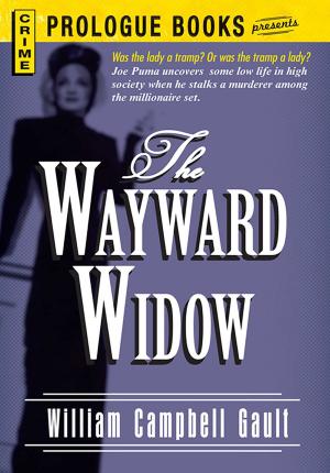 Book cover of The Wayward Widow