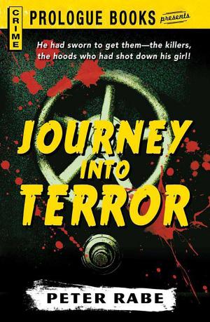 Cover of the book Journey Into Terror by Jam Sanitchat