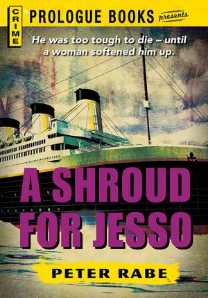bigCover of the book A Shroud for Jesso by 