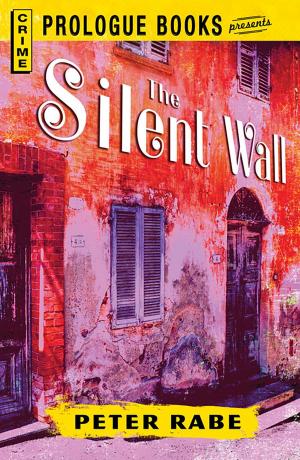 Cover of the book The Silent Wall by Katie Martin