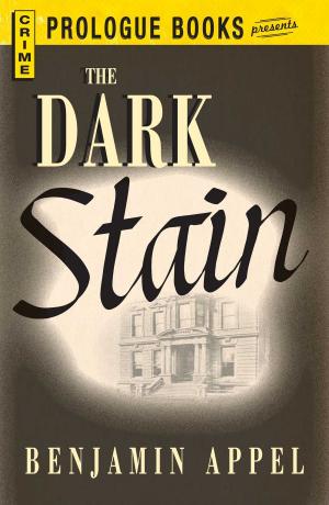 Cover of the book The Dark Stain by William Bernhardt