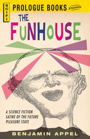 Cover of the book The Fun House by Shirley S Archer, Andrea Mattei