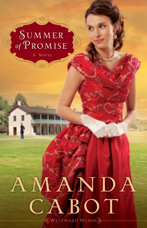 Book cover of Summer of Promise: A Novel