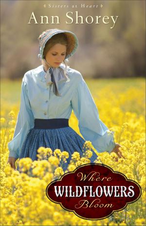 Cover of the book Where Wildflowers Bloom (Sisters at Heart Book #1) by Robert H. Gundry