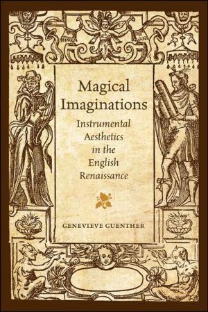Cover of the book Magical Imaginations by Deborah van den Hoonaard