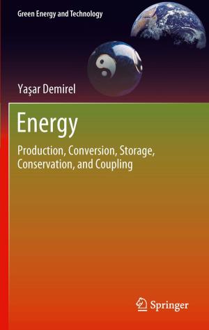 Cover of the book Energy by Natesa G. Pandian, Itzhak Kronzon, Hans-Joachim Nesser, Siew Yen Ho, Stefano de Castro, Francesco F. Faletra