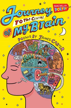 Cover of the book Journey to the Centre of My Brain by Sion Scott-Wilson