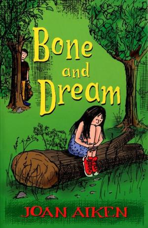 Cover of the book Bone And Dream : A St. Boan Mystery by Anthony McGowan