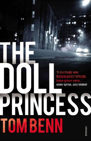 Cover of the book The Doll Princess by ¡¡Ábrete libro!!
