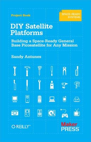 Cover of the book DIY Satellite Platforms by Akkana Peck