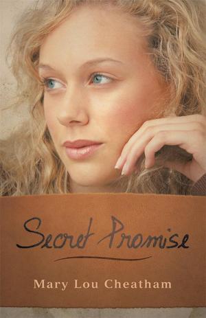 Book cover of Secret Promise