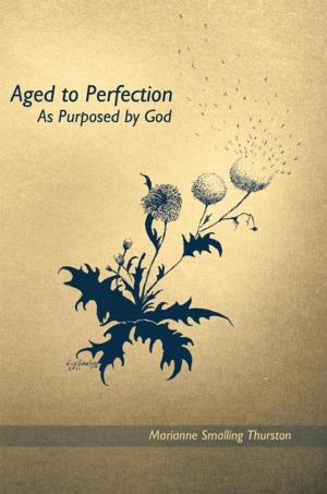 Cover of the book Aged to Perfection by Ruth Ellen Zuber