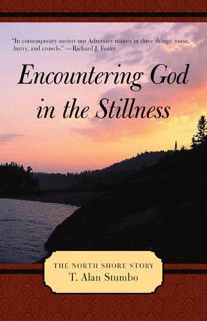 Cover of the book Encountering God in the Stillness by Marie Broussard Nutter