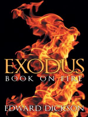 Cover of the book Exodus: Book on Fire by Clariss Brubaker Smith