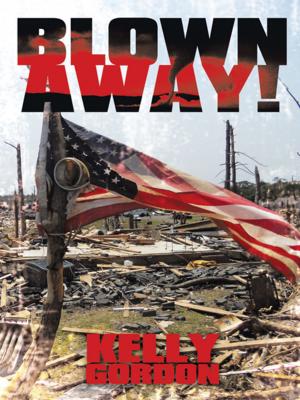 Cover of the book Blown Away! by I. B. Fury